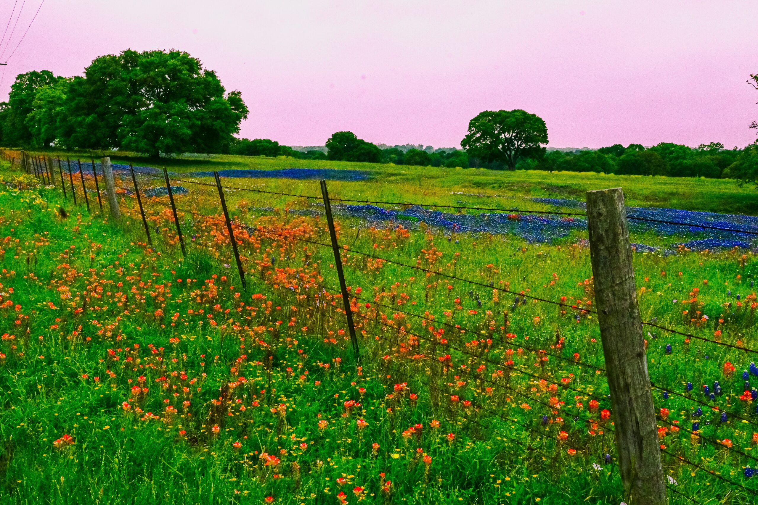 science-behind-drug-detox-exploring-the-process-in-austin-texas